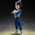 ベジータ〈Z戦士〉