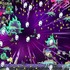 『呪術廻戦 RUMBLE: SURVIVATON』