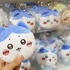 「ちいかわ」ハチワレ、うさぎ達が中部国際空港に上陸☆ フォトスポットや限定特典も楽しめる期間限定イベ開催【10月5日（月）まで】