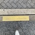 ポルトガル語