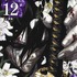『カグラバチ』１２巻書影