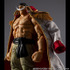 「ヴァリアブルアクション Heroes ONE PIECE “白ひげ” エドワード・ニューゲート Ver.1.5」