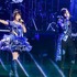 水樹奈々、日本武道館7DAYS公演のオフィシャルレポートが到着！