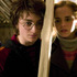 TM & (C) 2005 Warner Bros. Ent. , Harry Potter Publishing Rights (C) J.K.R