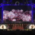 「ウマ娘 プリティーダービー 4th EVENT SPECIAL DREAMERS!!」東京公演DAY2　ライブフォト　>(C) Cygames, Inc.