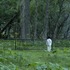 (C)白井カイウ・出水ぽすか／集英社 (C)2020 映画「約束のネバーランド」製作委員会