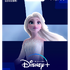 「ディズニープラス プリペイドカード」 12か月券『アナと雪の女王』エルサ（C）2022 Disney and its related entities