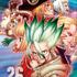 『Dr.STONE』書影（C）米スタジオ・Boichi／集英社