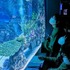 こどもワークショップ アニメ水族館