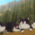 個性的すぎる猫、続々登場！TVアニメ『同居人はひざ、時々、頭のうえ。』第6話あらすじ＆先行カットが到着