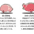 サンリオ「KIRIMIちゃん.10周年デザインシリーズ」商品シリーズに登場するなかまたち（C）2023 SANRIO CO.,LTD.