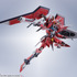 METAL ROBOT魂 ＜SIDE MS＞ イモータルジャスティスガンダム（C）創通・サンライズ