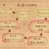 会場構成（マップ）