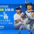 『MLB レギュラーシーズン』