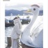 夏吉ゆうこ写真集 悠々吉日 メイキングDVD付き限定表紙版