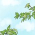 『あざといちゃんとヤンキーくん』第3話