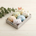「エコロン」シリーズ（C）2025 SAN-X CO., LTD. ALL RIGHTS RESERVED.