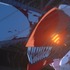 劇場版『チェンソーマン レゼ篇』本予告