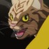 夏アニメ『ニャイト・オブ・ザ・リビングキャット』第1話（Chapter1）「すべてが猫になる」先行場面カット