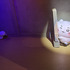 ちいかわパーク（C）nagano