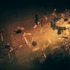 『劇場版「鬼滅の刃」無限城編 第一章 猗窩座再来』