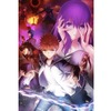 劇場版『Fate/stay night [Heaven’s Feel]』10月6日(土)より第2弾特典付き 全国共通前売券発売決定！・画像