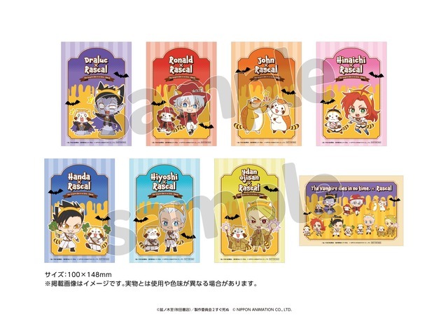 色んな表情をしたラスカルがキュート！ 「あらいぐまラスカル