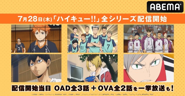 ハイキュー!!」第1期～第4期、劇場版総集編、OAD、OVAまで“全