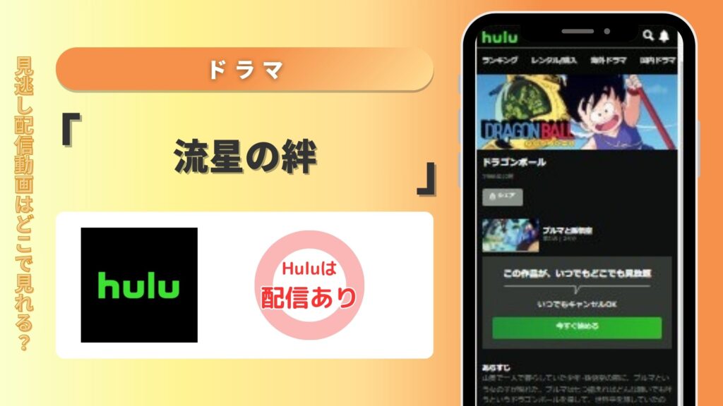 ドラマ「流星の絆」はHuluで配信されている？