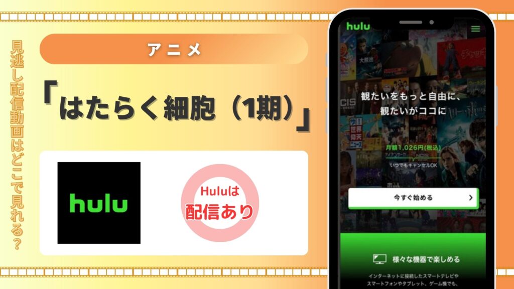 アニメ「はたらく細胞（1期）」はHuluで配信はある？