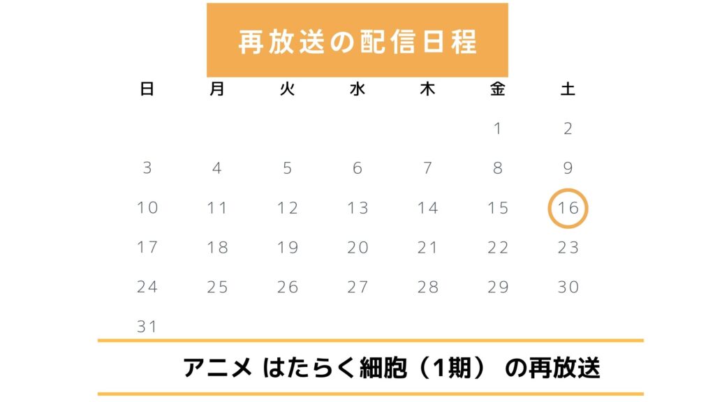 【2025年最新版】アニメ「はたらく細胞（1期）」の再放送予定は？