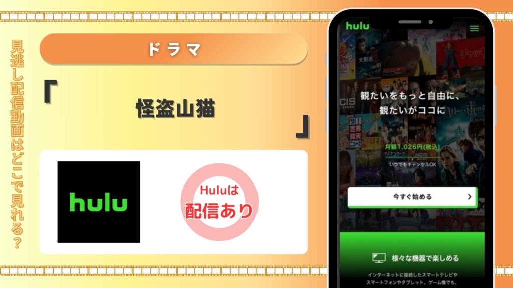 Huluでドラマ「怪盗山猫」は配信あり！