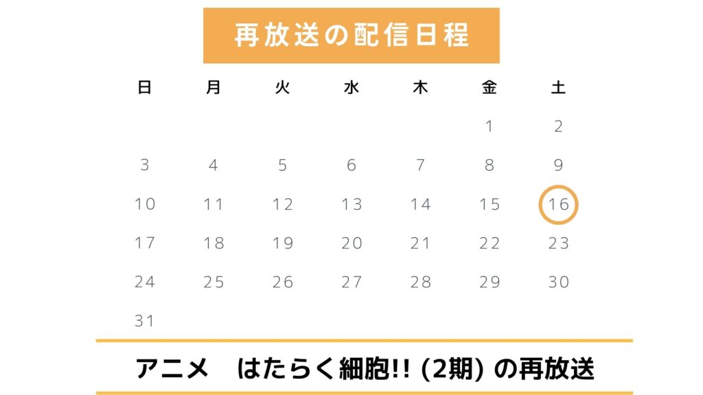 アニメ「はたらく細胞!!(2期)」地上波での再放送予定(2025年)